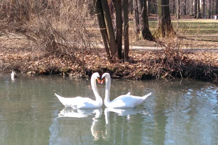 PIERWSZY DZIEŃ WIOSNY W NASZEJ SZKOLE:)